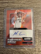 Panini Mehmet Okur auto National Pride