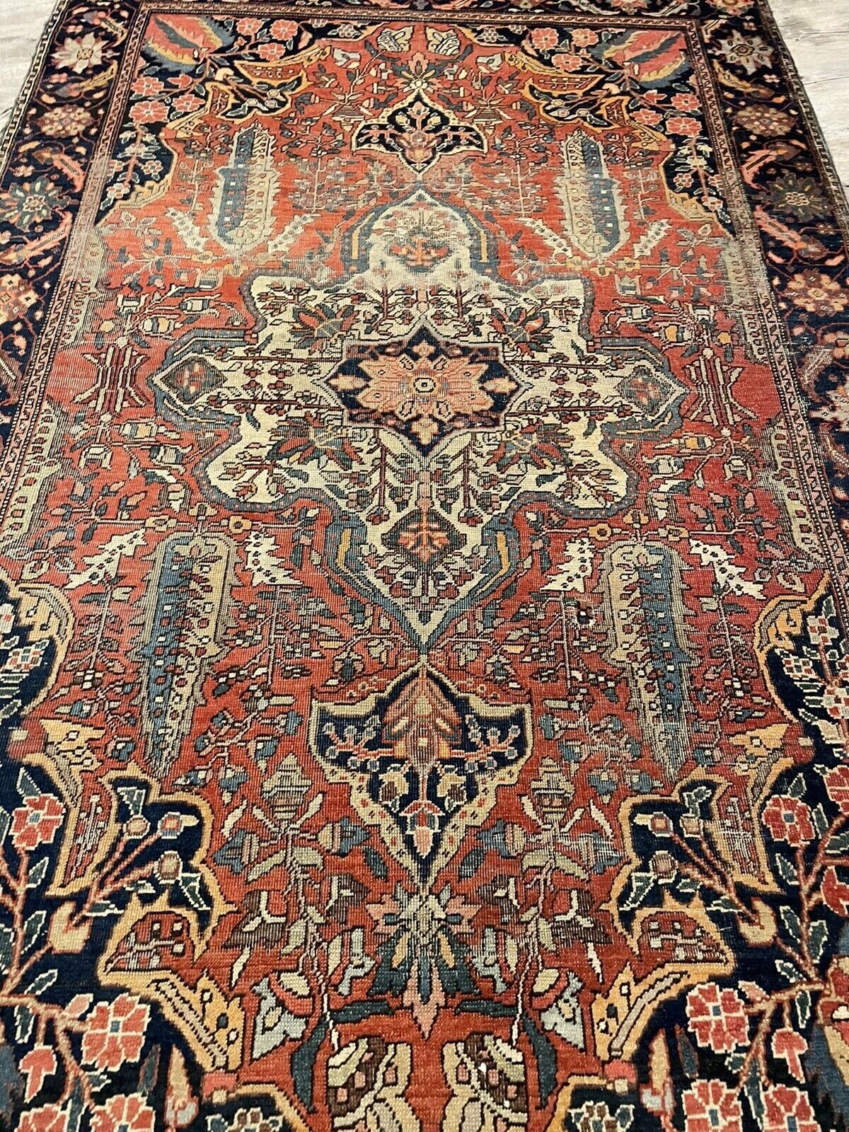 Picture 5 of 12