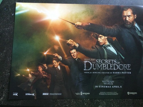 Die Geheimnisse von Dumbledore Harry Potter Kino kleine Promo Poster 30 x 21 cm