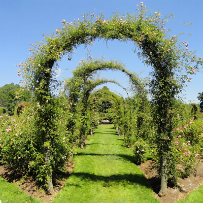 2m Garden Arch Trellis Arched Frame Tubular Arbour Climbing Plant Metal Archway 2m Garden Arch Trellis Arched Frame, How To Make Garden Arch Trellis