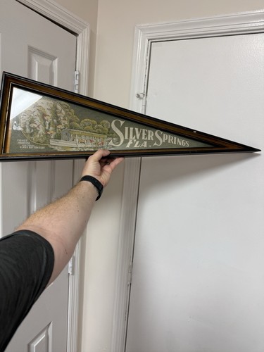 VINTAGE Florida's Silver Springs Filz Wimpel Glasboden Boote Souvenir gerahmt