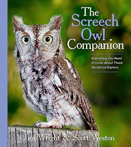 The Screech Owl Companion: Everything You Need to Know