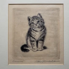 Antique Meta Pluckebaum Kitten Cat Dry Point Etching Framed Signed