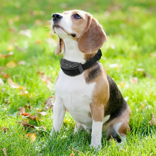 Collar de Entrenamiento para Perros Mascotas Descarga Eléctrica Antiladridos E-Collar Dejar de Ladrar Control - Imagen 9 de 15