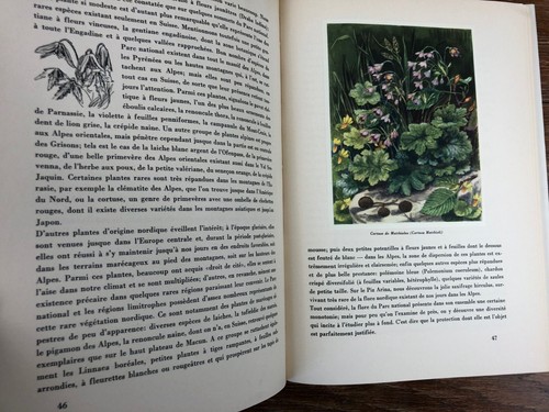 LE PARC NATIONAL SUISSE Editions SILVA ZURICH (1949) bel état - Picture 5 of 6