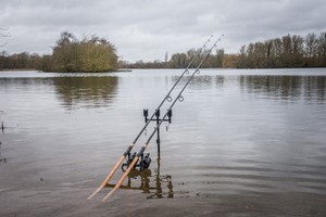 wychwood 10ft carp rods