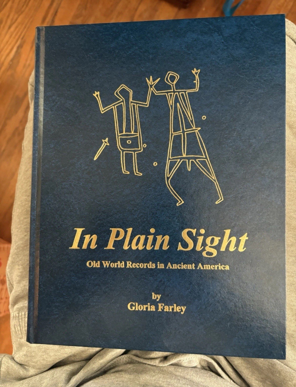 RARE NEW In Plain Sight Gloria Farley Hardcover Old World Records America