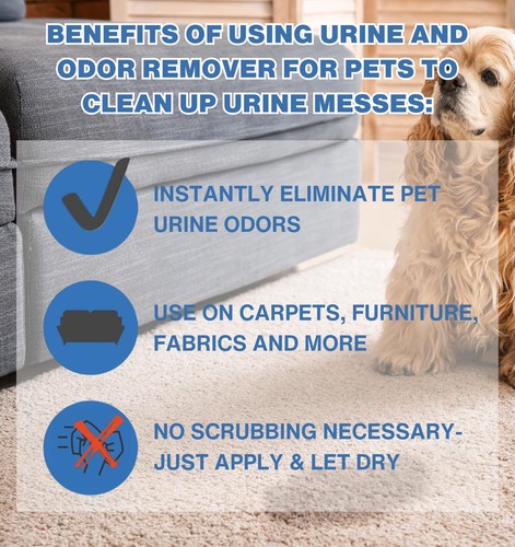Instantly Urine Odor Remover for Pets - Eliminator for Cat & Dog Pee, Best Ox... - Picture 7 of 9