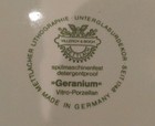 Set 6 Villeroy & Boch Geranium 8" Luncheon Salad Plates  Germany Porcelain EUC — photo 5