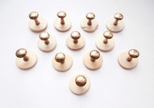 Vintage Antique Edwardian Set of 12 Celluloid (or similar) Shirt Studs Deadstock
