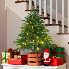 Inweder Small Christmas Tree with Lights Realistic Norfolk Pine - 2.6ft Mini ...