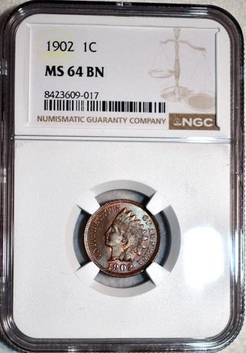 NGC MS-64 BN 1902 Indian Head Cent, Beautifully Toned w/ Hints of Original Red.