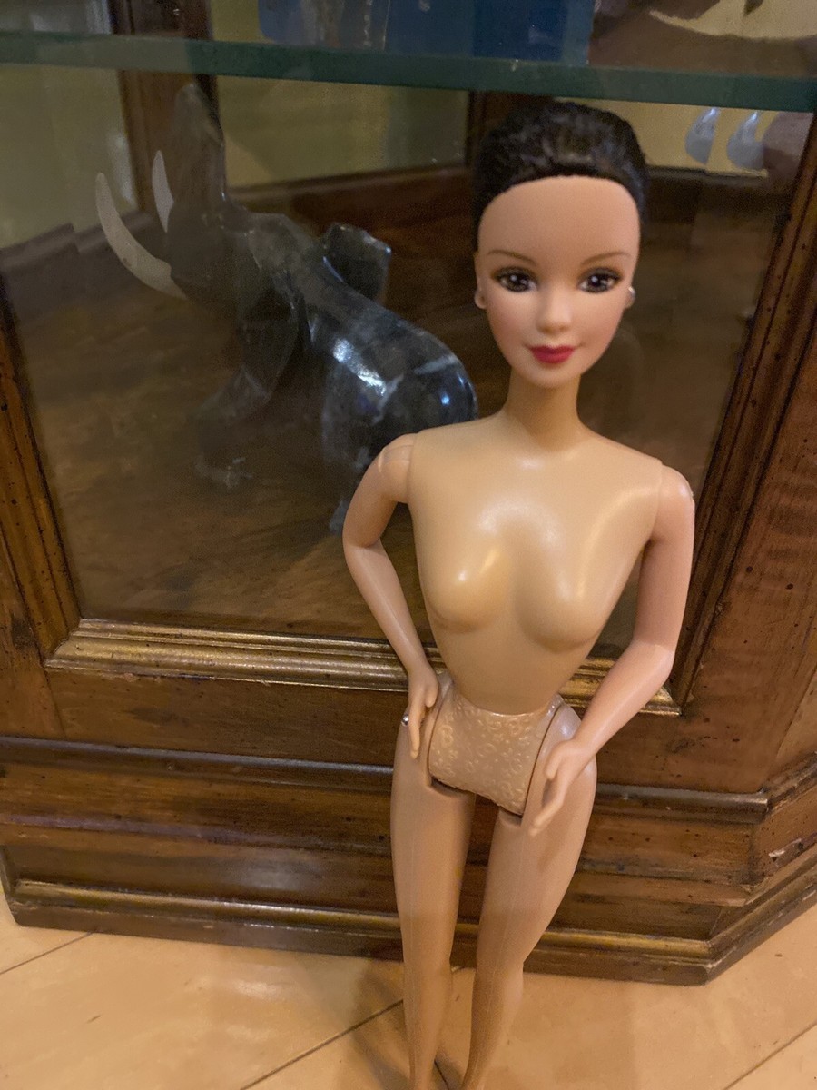 Boneca Barbie Fashionistas Morena C 2 Roupas E Acessórios