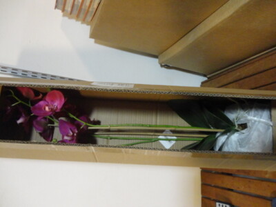 PHALAENOPSIS DROP-IN 29''