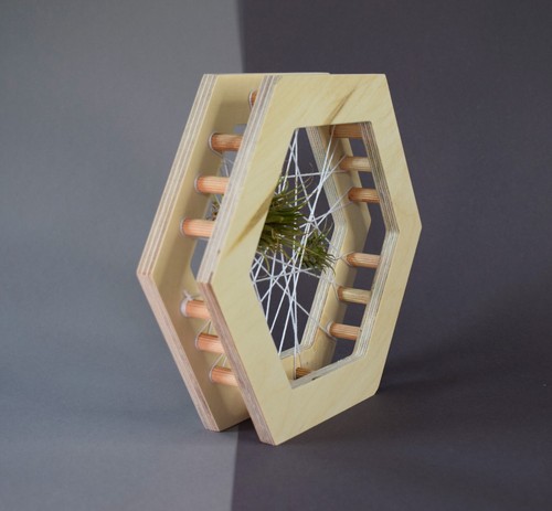 Air Plant Holder: Shelf Stand or Wall Hanging. Small wooden air plant frame. - Picture 7 of 15