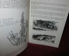 Picture 6 of 12