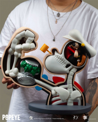 ZCWO RX's POPEYE ANATOMY Bust Limited Collectible Fashion Model New In Stock
