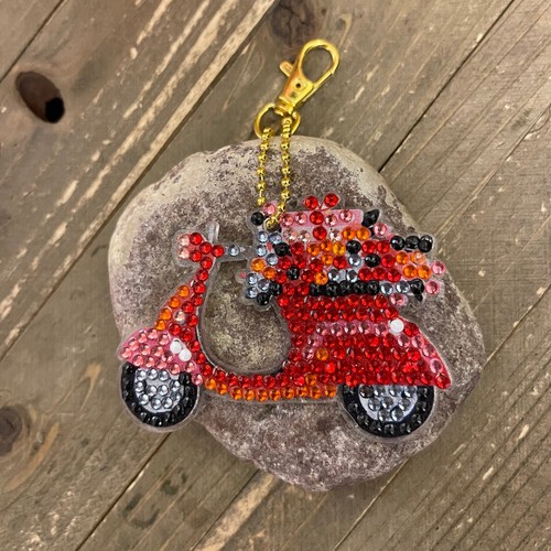 Valentine Acrylic & Gemstone Key Chain (5 to choose from) - Picture 6 of 6