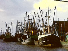 8mm Film Netherlands Germany England 1960s Home Movie Countryside Towns Canals