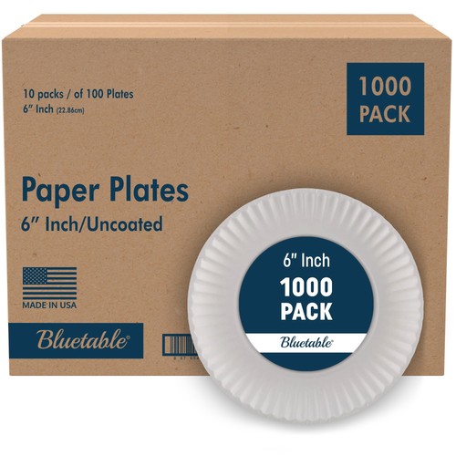 6 Inch Paper Plates Bulk – 1000 Count - Uncoated White 6” Dinner Plate Small ...