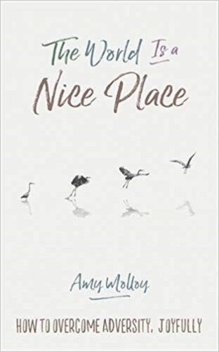 The World Is a Nice Place, How to Overcome Adversity by Amy Molloy NEW Paperback