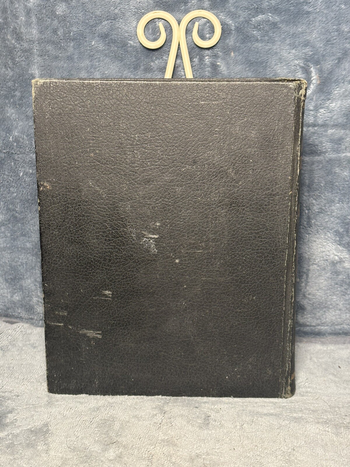Picture 9 of 9