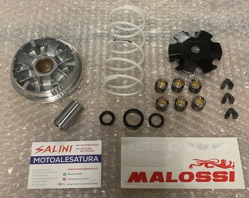 Rulli Variatore Malossi 6.0g - 15x12mm Per Scooter E Moto - Foto 6