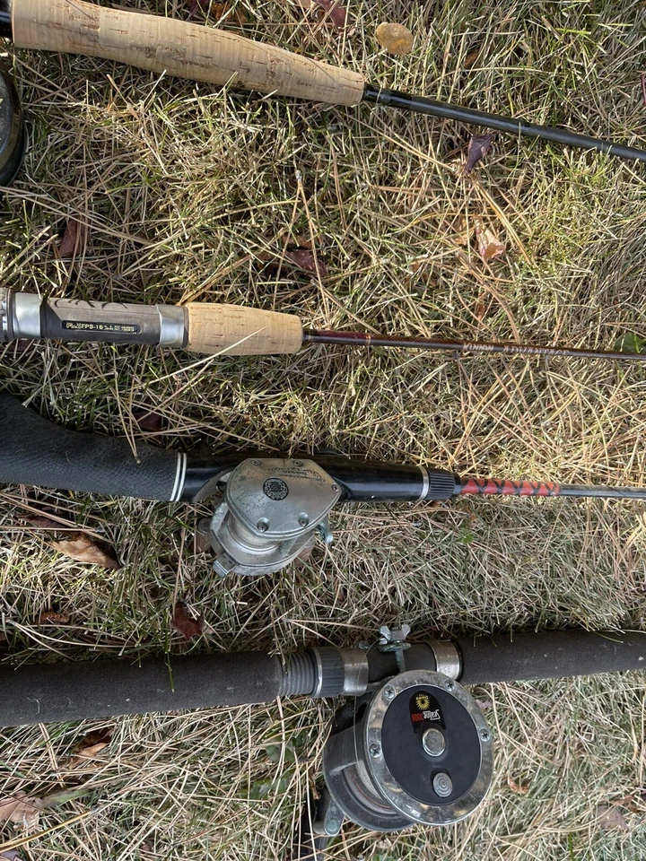 Juego de cañas de pescar y carruajes de cebo (ORVS, Phantom, etc.) Foto 3 de 4