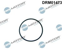 Dr.Motor Automotive DRM01473 Dichtung, Kraftstoffpumpe FüR CitroËN Ford