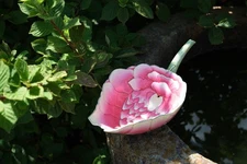 0288 Famille-Rose Lotus-Form Cup, Guangxu Mark