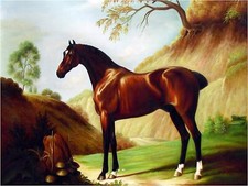A Dark Bay Thoroughbred Horse Tile Mural Kitchen Wall Backsplash Marble Ceramic