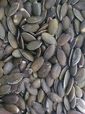 Premium Bio Kürbiskerne für gesunde Wildvögel energiereiche glückliche Gärten
