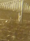 Bild 3 von 14