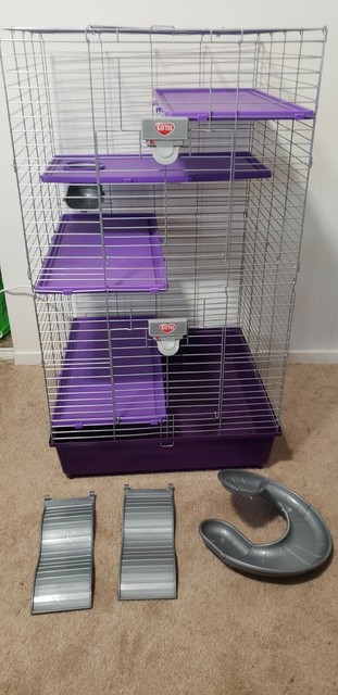 purple ferret cage