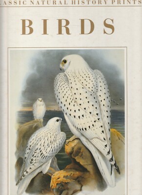 BIRDS , CLASSIC NATURAL HISTORY PRINTS , BIRDS by S PETER DANCE 