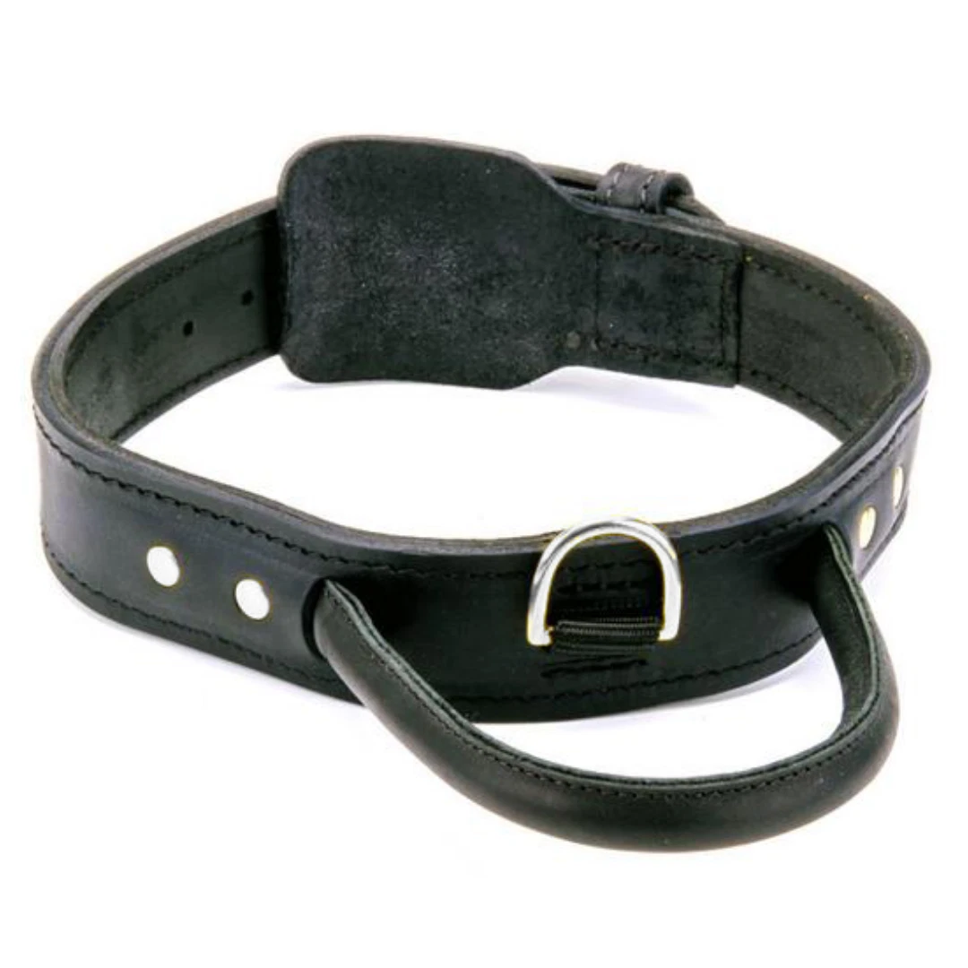Dog Collar With Handle Real Leather Pet Collar For Large Breeds Heavy Duty
Opens in a new window or