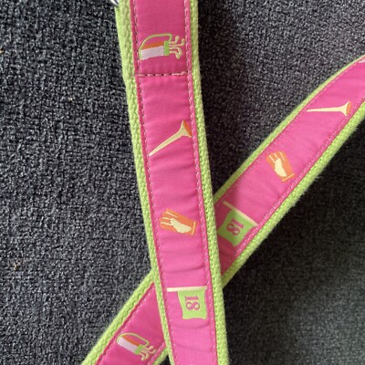 vintage Douglas Paquette pink green cocktails belt L s-l400.jpg main image 2