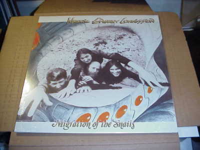LP:  MELODIC ENERGY COMMISSION - Migration Of The Snails  NEW REISSUE PROG PSYCH
