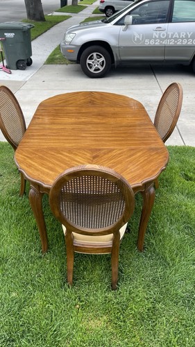 Wood Dining Table Set w/ 3 Cane-Back Chairs, Fabric Seats, Brown/Beige