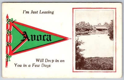 Aurora (sic) Illinois~Covered Bridge~Will Drop In~c1910 Pennant Postcard