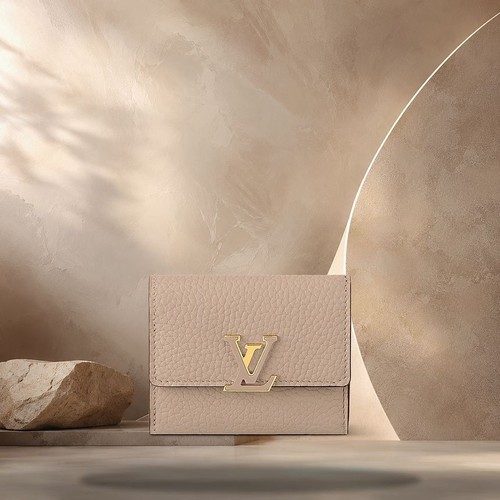 Louis Vuitton Capucines XS Wallet Grey M68747 158371738 [P]