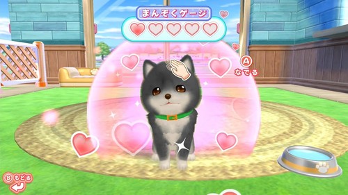 Used Nintendo Switch Play with your dog! Become a dog trainer! Japan Import - Picture 7 of 7