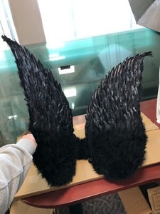 Touch of Nature Black Adult Angel Wings 52" by 36"