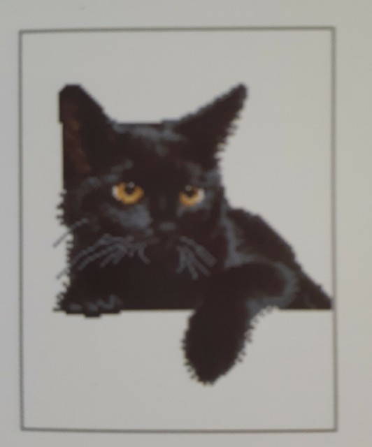 Diamond Dotz Diamond Embroidery Facet Art Kit Midnight Black Cat | eBay