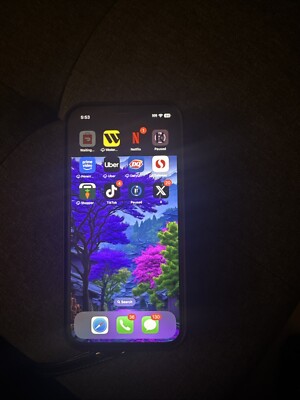 Phone with TikTok app