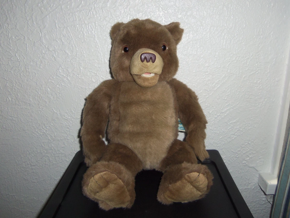 Little bear talking stuffed animal on sale