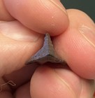Genuine Ancient Iron Arrowhead. Mongol c. 1200-1400 AD. 49mm. Or Crusader copy. — photo 4