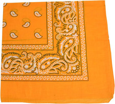 22 Inch Cotton Paisley Bandana