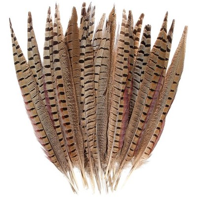 Male Pheasant Feather Tails 10-12inch - 20pcs