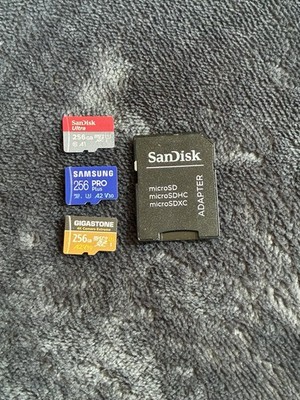 San Disk SD Karten 3 x 256GB  NICHT GETESTET  + Micro Sd Zu Sd Adapter